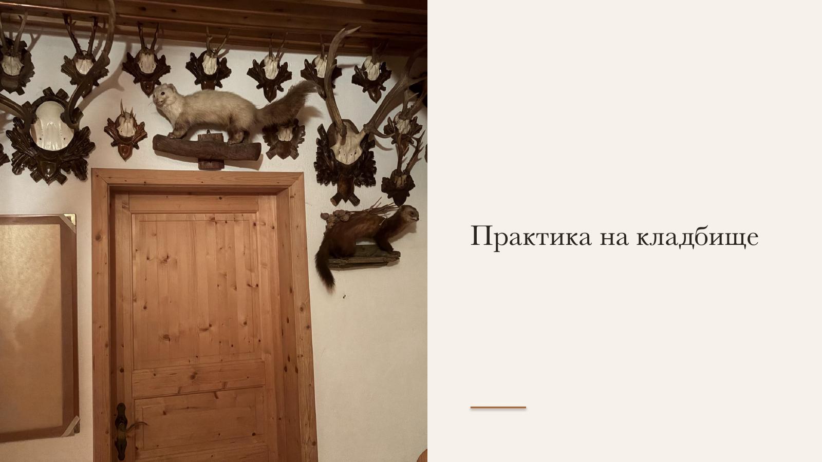Слайд 4 · Практика на кладбище